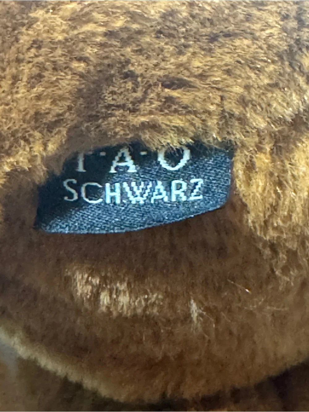 FAO Schwarz 14